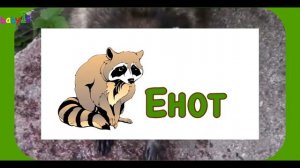 ЛЕСНЫЕ ЖИВОТНЫЕ \ ЗВУКИ И ВИДЕО ДЛЯ ДЕТЕЙ ЖИВОТНЫЕ ЛЕСА