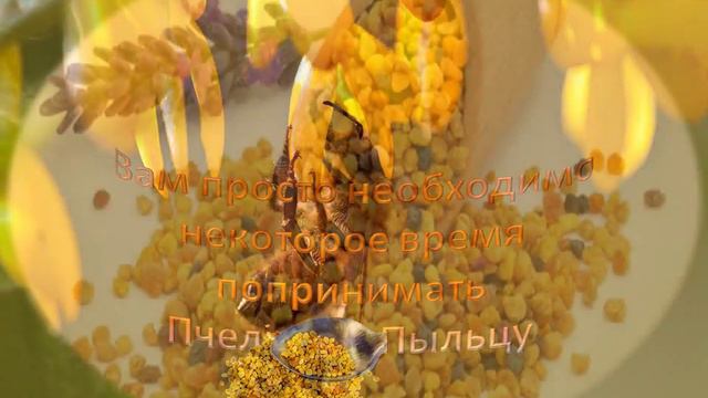 пчелиная пыльца