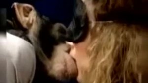 Обезьяны целуются