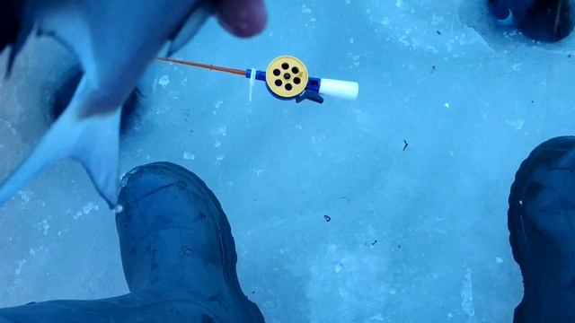 Зимняя рыбалка в летней палатке. Поклёвки на камеру. Рыбалка 2021 в Можайском водохранилище. смотреть онлайн