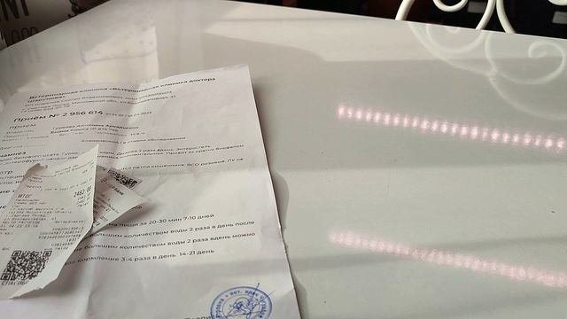 ОТЗЫВ О ПИТОМНИКЕ БЕНГАЛЬСКИХ КОШЕК ИЗ РЫБИНСКА. ТАКОГО ОТНОШЕНИЯ НИКТО НЕ ЗАСЛУЖИВАЕТ!