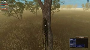 How to climb in tree as a leopard in ROBLOX Wild Savannah