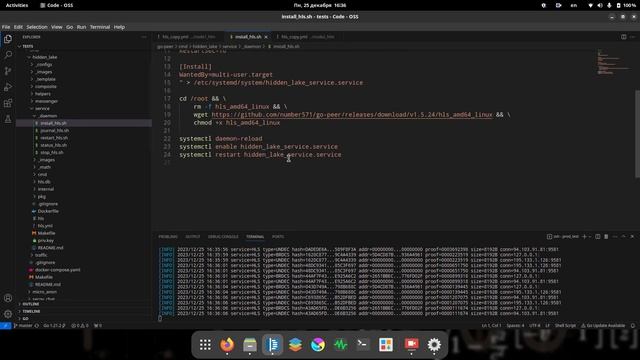 // Разработка скрытых сетей #8 // Поднимаем узел Hidden Lake в глобальной сети // смотреть онлайн