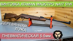 Пневматическая винтовка Ataman Маэстро NA17 51W (5.5 мм, дерево) видео обзор 4k
