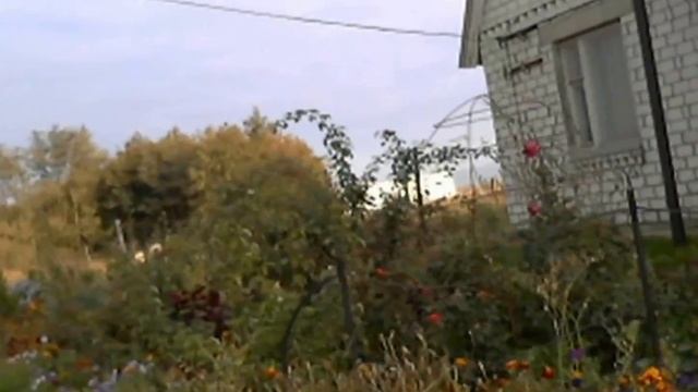 Кинбурнская коса село Покровка