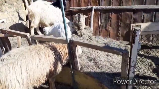 Весна пришла!!! Уборка двора и другое смотреть онлайн