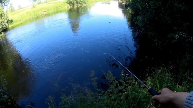 ПРЫГНУЛ ЗА НИМ В РЕКУ. РЫБАЛКА НА МИКРОДЖИГ С ПОПЛАВКОМ. смотреть онлайн