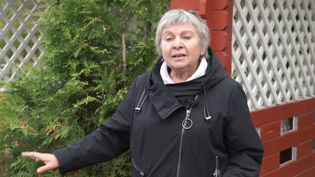 Уход За Туями и Можжевельниками Осенью ? Если туя Желтеет ?  Советы От Хитсад ТВ