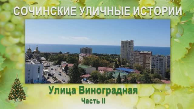 «Сочинские уличные истории». Улица Виноградная. Часть 2.