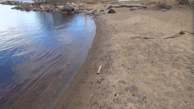 Приближение лета. Петрозаводск. Набережная Варкауса. смотреть онлайн