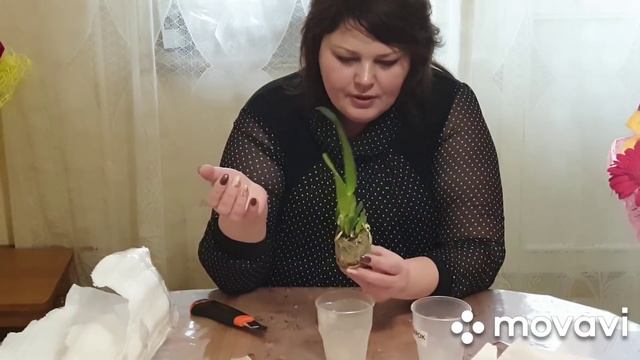 ШОК! Снова Азия...Обзор посылки с новыми орхидеями из группы HAPPY ORCHID смотреть онлайн