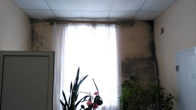 Городская больница и госпиталь в Верхней Салде