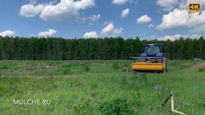 Трактор Нью Холланд с мульчером ротоватором MERICRUSHER MJS-241 STG на расчистке от пней и корней
