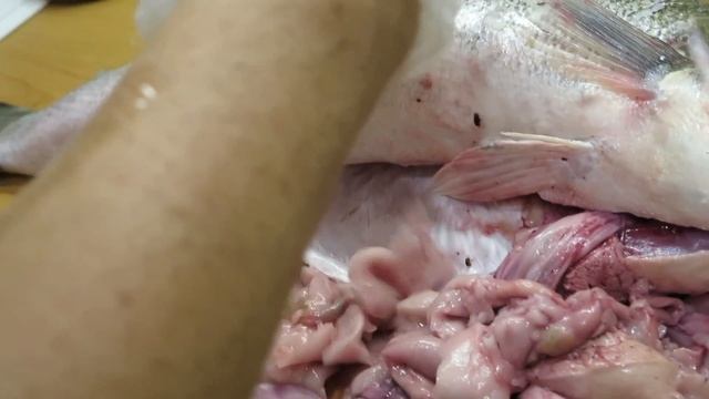 Что Делать с Судаком на 7 кг??? смотреть онлайн