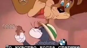 Мульт БМВ против Мерседес.