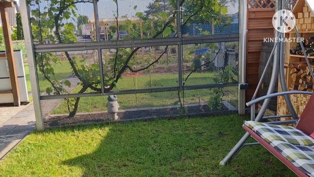 Vlog 🇩🇪 работа на даче🏕/Ах уж это погода, пожелтели огурцы 🙈 смотреть онлайн