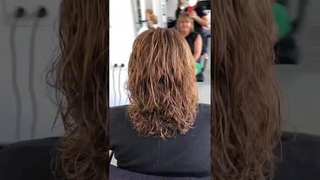 Curly bob haircut || Hair transformation || Bob haircut || vivyan hermuz || curly hair || curls