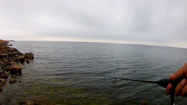 Ловля саргана на спиннинг ультралайт! Первая рыбалка на саргана.