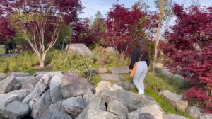 ЯПОНСКИЙ САД | ПАРК ГАЛИЦКОГО КРАСНОДАР