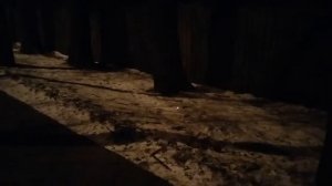 Горение магния и калиевой селитры (рецепт в описании)