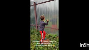 Я играю в GTA в реальной жизни.