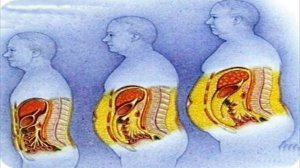 УБРАТЬ  ЖИВОТ  /  ПОЧЕМУ  РАСТЁТ ЖИВОТ ?