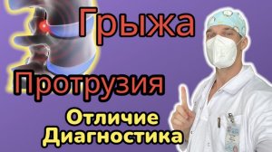 Отличие межпозвонковой грыжи и протрузии. Как диагностировать, наглядная анатомия дисков.