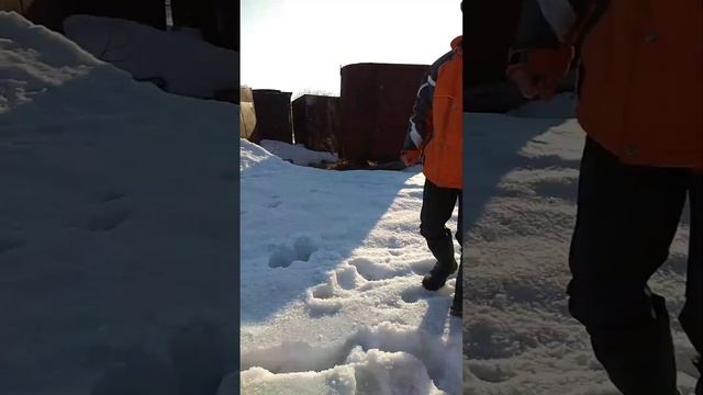 Аэролодка с двигателем лифан, на базе лодки ракета 380