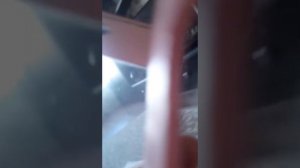 Чем нельзя??? и чем можно кормить шпица???