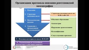 МАММОГРАФИЯ Лекция «Система оценки BI RADS, использование в повседневной практике»