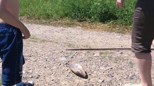 Ловля карпа на озере в Китае.Ловим и едим смотреть онлайн