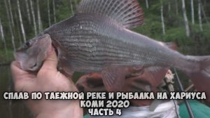 Крупный хариус на удочку. Загнул удочку в дугу.Лучшая рыбалка на хариуса.Уха на костре,с потрашками.