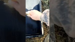 Как смазать формы для тротуарной плитки