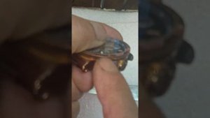 часы UIYSSE NARDiN как снять стекло