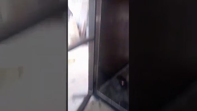 В работе печь полимеризации. смотреть онлайн