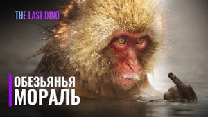 Как "Мораль" стала инструментом Эволюции?