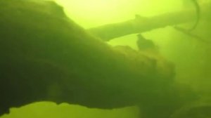 Подводная охота на реке Узола Подводные съёмки