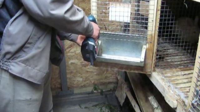 как бороться с кроликами грызунами смотреть онлайн