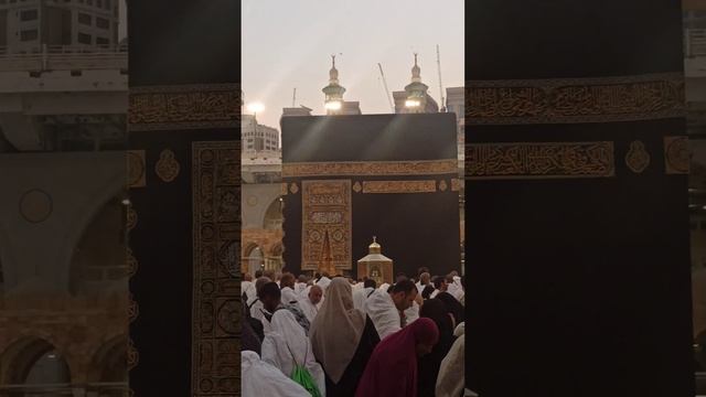 16 ноября 2022 г. смотреть онлайн