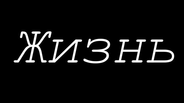 Жизнь