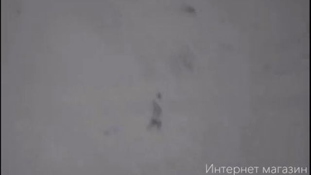 Pulsar Helion XQ50 384x288 | Монокуляр для охоты! смотреть онлайн