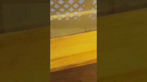 Электростатическое копчение с генератором ВВ U и АНВ от Виталия Павлова