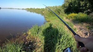Я ДАВНО ЖДАЛ эту Рыбалку на Оке! Ловля спиннинг Жерех, Судак летом