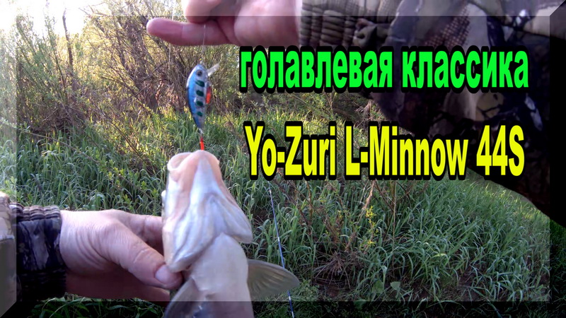 Зачетные ГОЛАВЛИ, все как на подбор на Yo-Zuri L-Minnow 44s. Ловля голавля на спиннинг