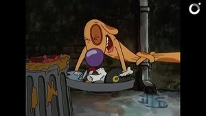 Котопес — философ?