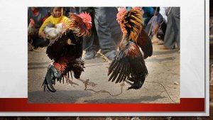 Гарсиа Маркес  Полковнику никто не пишет