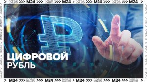 Госдума приняла закон о цифровом рубле - Москва 24