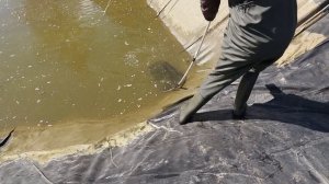 Очистка пруда из пленки своими руками. Часть 1. Откачиваем воду. Отлавливаем рыбу. Моем пленку.