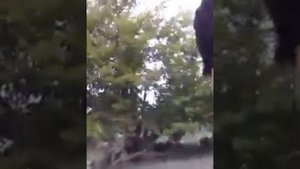 усач на реке .закидушка