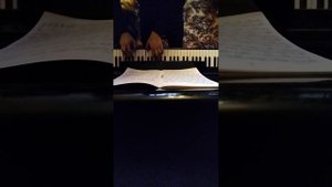 Лешгорн Этюд номер 27 опус 65🎧🔮🎼🎶🎵🥇🏆♾️⭐💫🌟